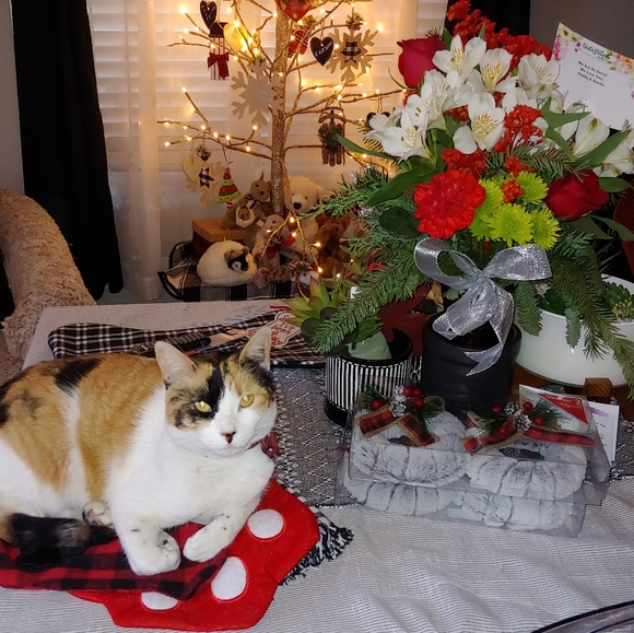 Meet your Posher, Michelle - Picture 8 of 12